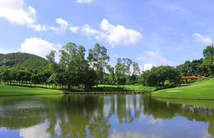 Foshan Gaoming Yinhai